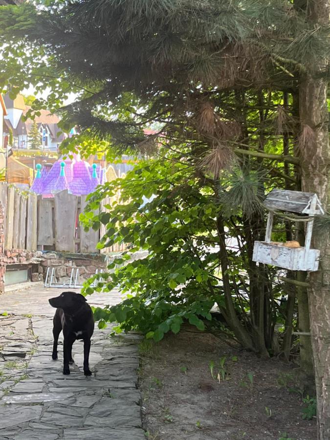 Rycerz Bed & Breakfast
